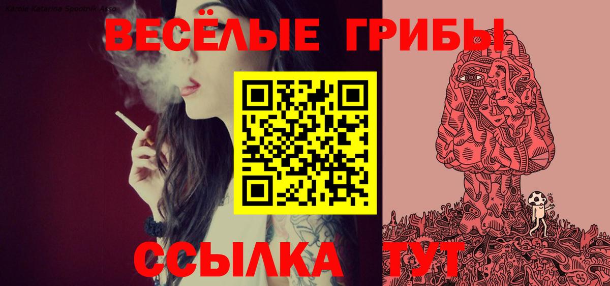 Псилоцибиновые грибы Cubensis Казань